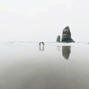 Sea Side