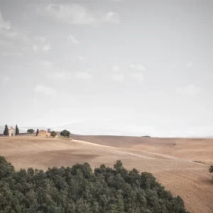 Fields of Joy